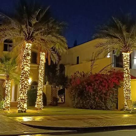 Spooky Tree Lighting